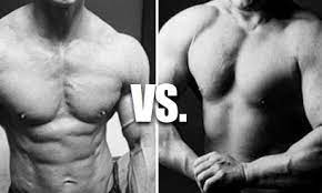The Ultimate Guide to Bulking and Cutting