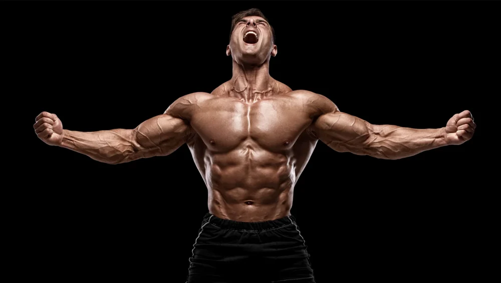 The Impact of Steroids on Muscle Mass