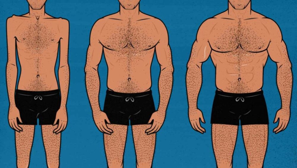Advanced Muscle-Building Strategies with Steroids