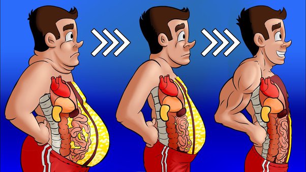 Post-Cycle Therapy (PCT) After Clenbuterol