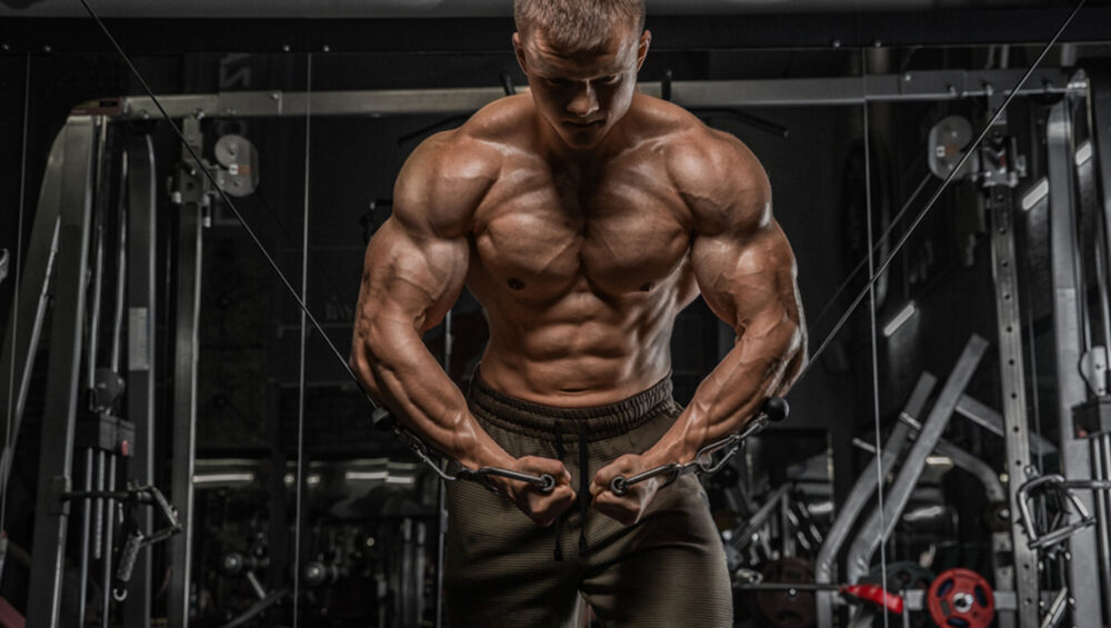 Buy Testosterone: Buying Steroids in Australia